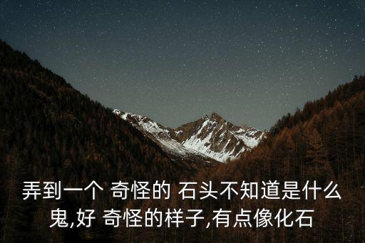 弄到一個 奇怪的 石頭不知道是什么鬼,好 奇怪的樣子,有點像化石