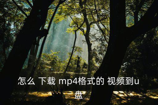 怎么 下載 mp4格式的 視頻到u盤