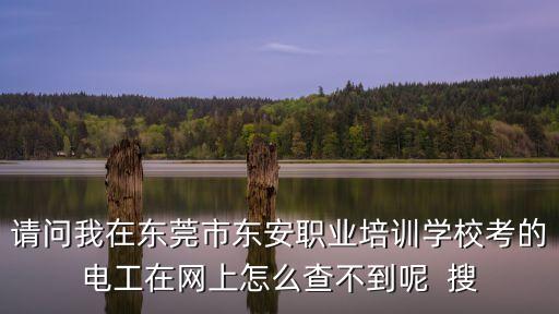 請問我在東莞市東安職業培訓學校考的電工在網上怎么查不到呢  搜