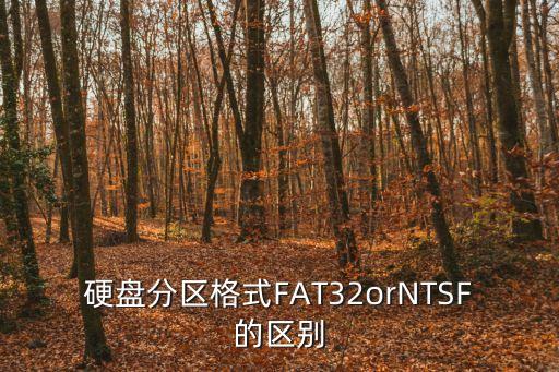 硬盤分區格式FAT32orNTSF的區別