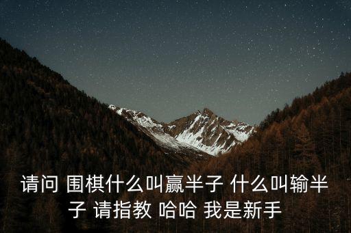 請問 圍棋什么叫贏半子 什么叫輸半子 請指教 哈哈 我是新手
