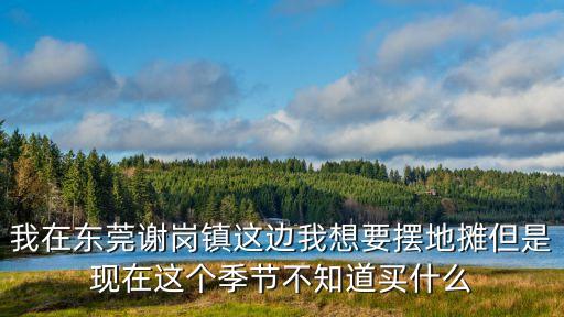 東莞樟木頭地?cái)偅以跂|莞謝崗鎮(zhèn)這邊我想要擺地?cái)偟乾F(xiàn)在這個(gè)季節(jié)不知道買什么