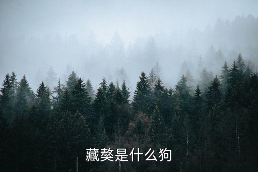 藏獒是什么狗