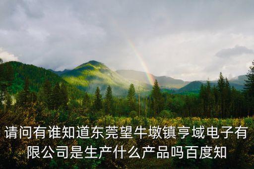 請問有誰知道東莞望牛墩鎮亨域電子有限公司是生產什么產品嗎百度知