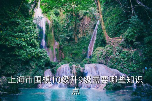 上海市十九道圍棋，上海市圍棋10級升9級需要哪些知識點