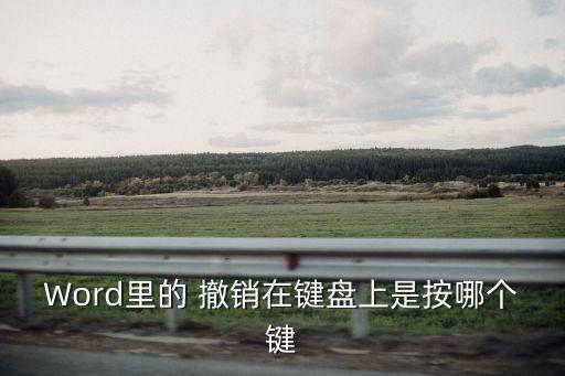 Word里的 撤銷在鍵盤上是按哪個鍵