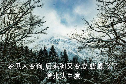 夢見人變狗,后來狗又變成 蝴蝶飛了啥兆頭百度