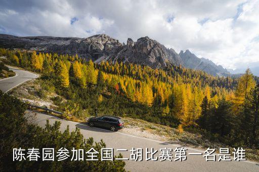 陳春園參加全國二胡比賽第一名是誰