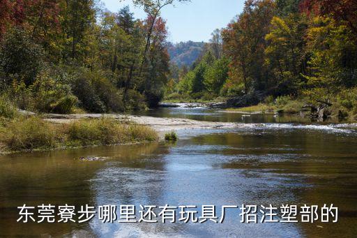 東莞寮步哪里還有玩具廠招注塑部的