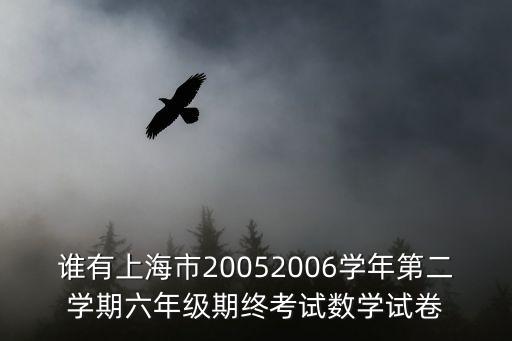 誰(shuí)有上海市20052006學(xué)年第二學(xué)期六年級(jí)期終考試數(shù)學(xué)試卷