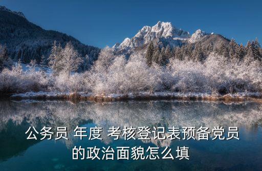  公務(wù)員 年度 考核登記表預(yù)備黨員的政治面貌怎么填