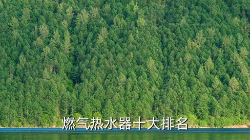 燃氣熱水器十大排名
