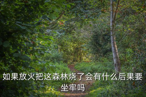 如果放火把這森林燒了會(huì)有什么后果要坐牢嗎