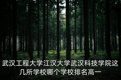 武漢工程大學(xué)江漢大學(xué)武漢科技學(xué)院這幾所學(xué)校哪個學(xué)校排名高一