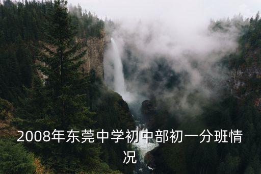 2008年東莞中學初中部初一分班情況