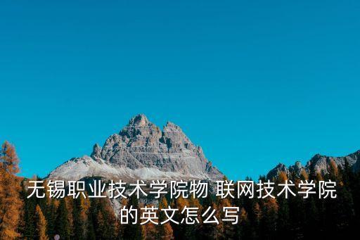 無錫物聯(lián)網(wǎng),吳聯(lián)網(wǎng)創(chuàng)始人:一物一碼和三網(wǎng)合一