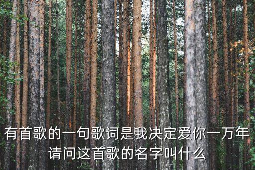 有首歌的一句歌詞是我決定愛你一萬年請問這首歌的名字叫什么