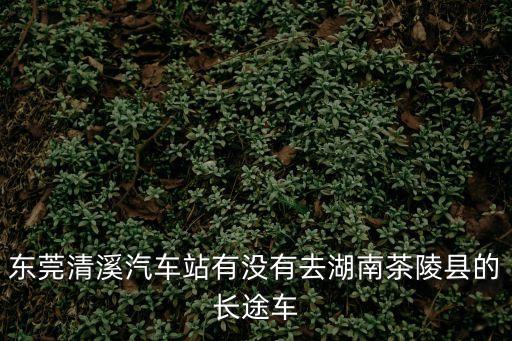 東莞清溪汽車站有沒有去湖南茶陵縣的長途車