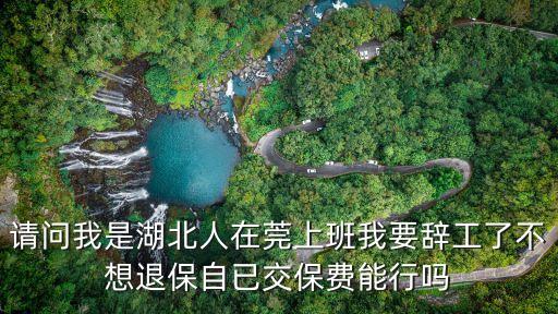 湖北人在東莞打工怎么辦，請問我是湖北人在莞上班我要辭工了不想退保自已交保費能行嗎