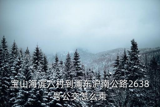 寶山海濱六村到浦東滬南公路2638號(hào)公交怎么乘