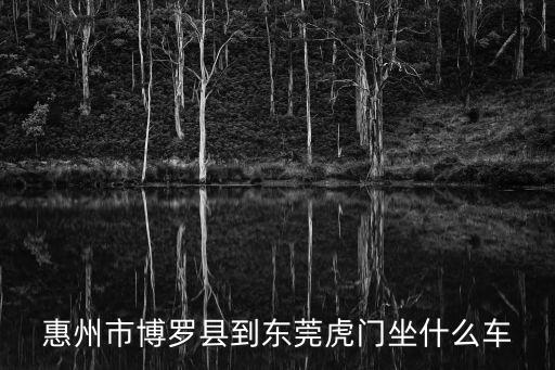 博羅園洲到東莞虎門，從博羅圓洲去東莞虎門富民批發市場怎么坐車