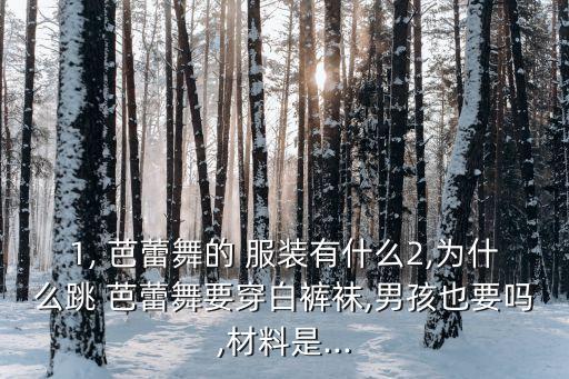 芭蕾舞服裝,芭蕾舞蹈學(xué)堂（一）:基本訓(xùn)練
