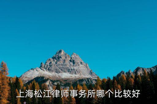 上海松江律師事務所哪個比較好