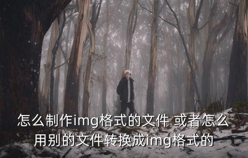 img格式，img格式的文件怎么打開