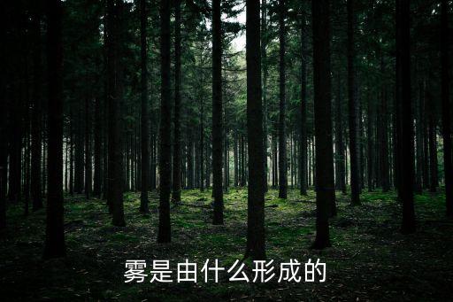 霧的形成原因，霧是怎樣形成的