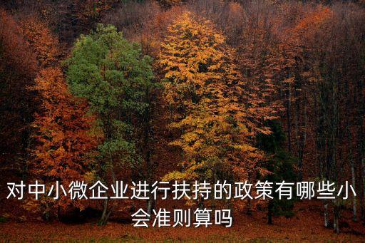 對中小微企業進行扶持的政策有哪些小會準則算嗎