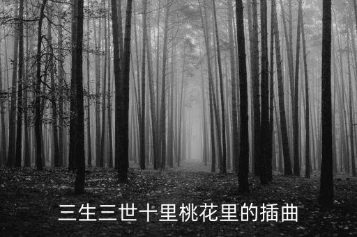 三生三世歌曲，三生三世十里桃花里的插曲