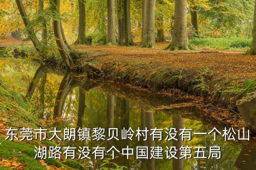 東莞市大朗鎮的建筑公司，東莞大朗華諾公司在哪個路口