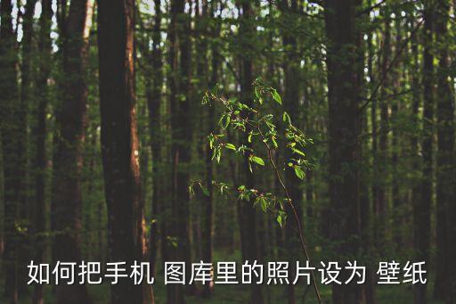 壁紙圖庫,成品桌面壁紙推薦三款壁紙:1免費軟件