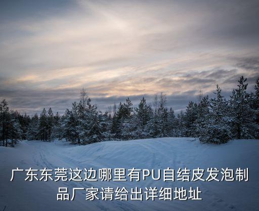 廣東東莞這邊哪里有PU自結皮發泡制品廠家請給出詳細地址