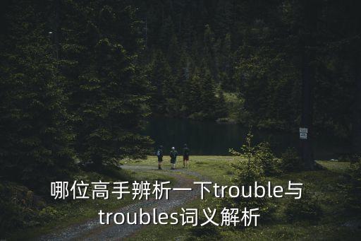 troubles,第二對選民投票反對選舉結果