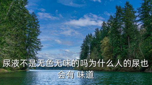 尿是什么味道,尿液發酵后會有什么味道?