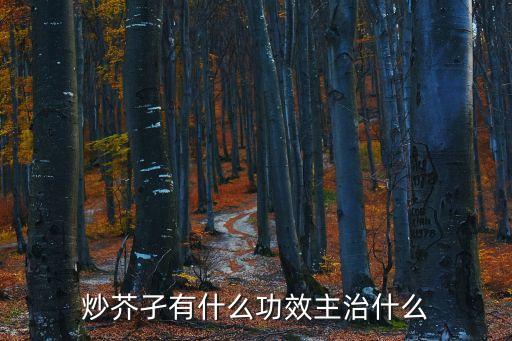 炒芥子的功效與作用，炒芥孑有什么功效主治什么