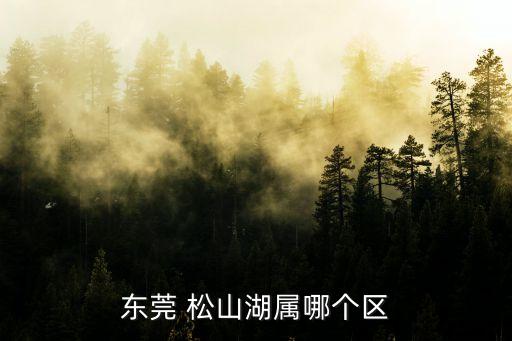 東莞市松山湖,東莞松山湖科技產業園處于東莞市幾何中心