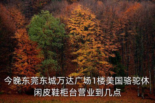 東莞東城萬達廣場樓房，東莞萬達廣場