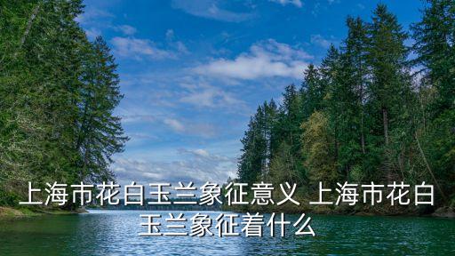 上海市花白玉蘭象征意義 上海市花白玉蘭象征著什么