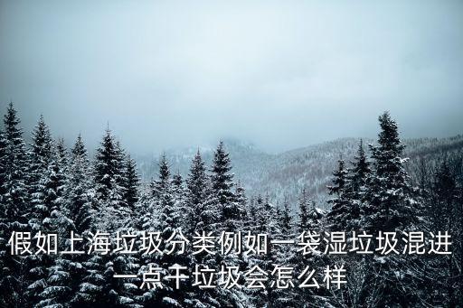 上海市濕垃圾處理點(diǎn)，假如上海垃圾分類例如一袋濕垃圾混進(jìn)一點(diǎn)干垃圾會(huì)怎么樣
