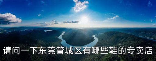 請問一下東莞管城區(qū)有哪些鞋的專賣店
