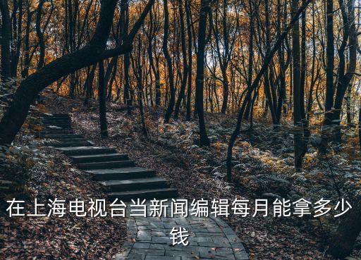 在上海電視臺當新聞編輯每月能拿多少錢