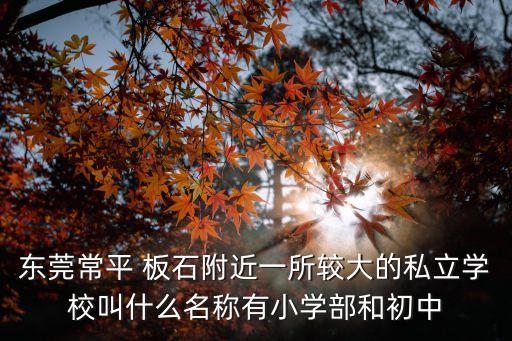 東莞常平 板石附近一所較大的私立學校叫什么名稱有小學部和初中