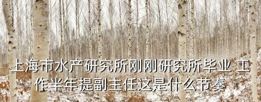 上海市水產(chǎn)研究所剛剛研究所畢業(yè) 工作半年提副主任這是什么節(jié)奏