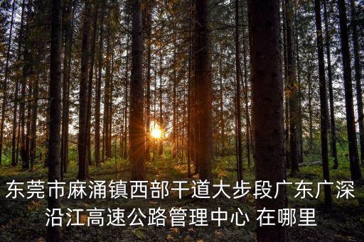 東莞市麻涌鎮西部干道大步段廣東廣深沿江高速公路管理中心 在哪里