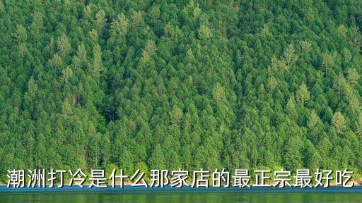 潮州打冷，潮州打冷的特點