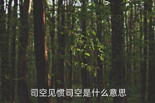  司空見慣司空是什么意思