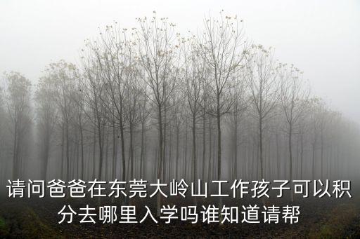 請問爸爸在東莞大嶺山工作孩子可以積分去哪里入學嗎誰知道請幫