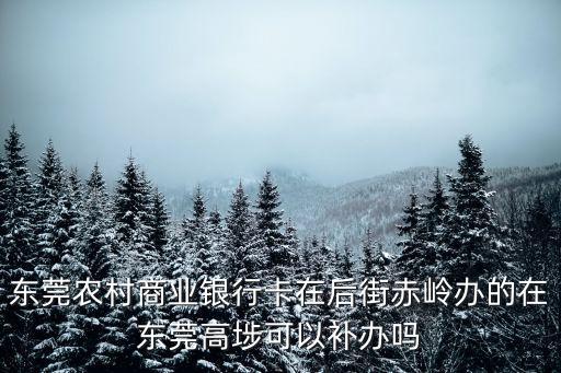 東莞農村商業銀行卡在后街赤嶺辦的在東莞高埗可以補辦嗎